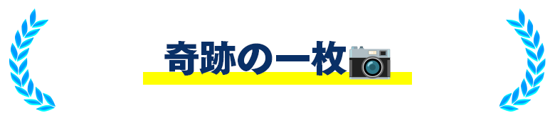 奇跡の一枚📷